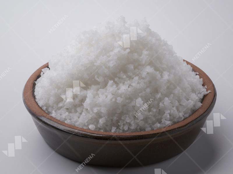 Cheese making machine supplier