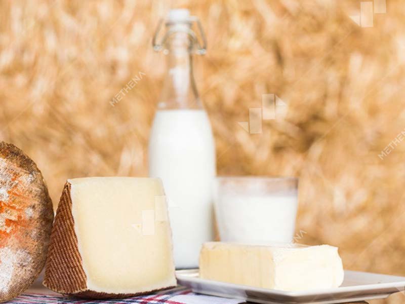 Cheese making machine produces cheese