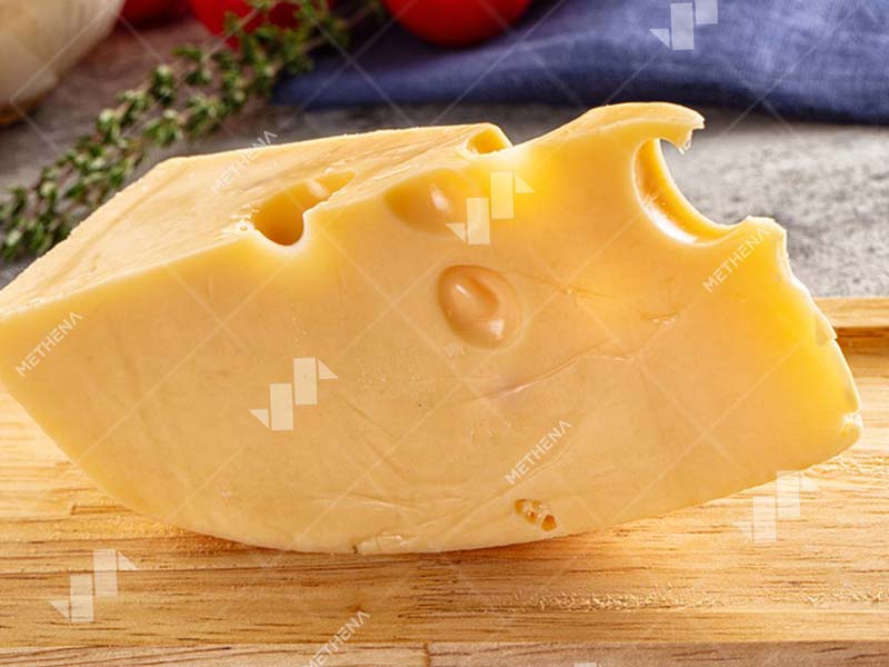 Cheese making machine manufacturer