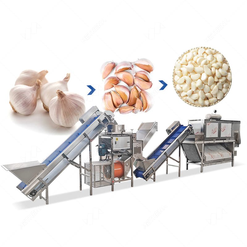 Continuous garlic peeling machine for sale